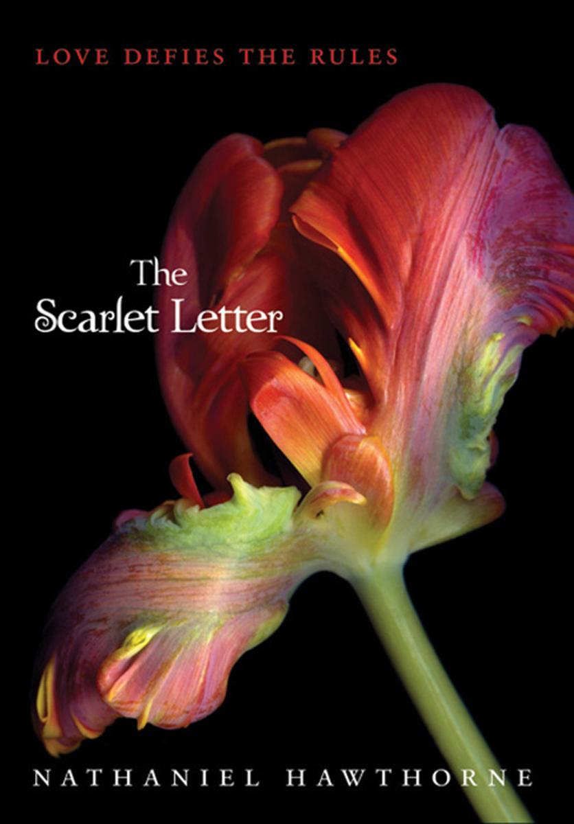 TheScarletTie